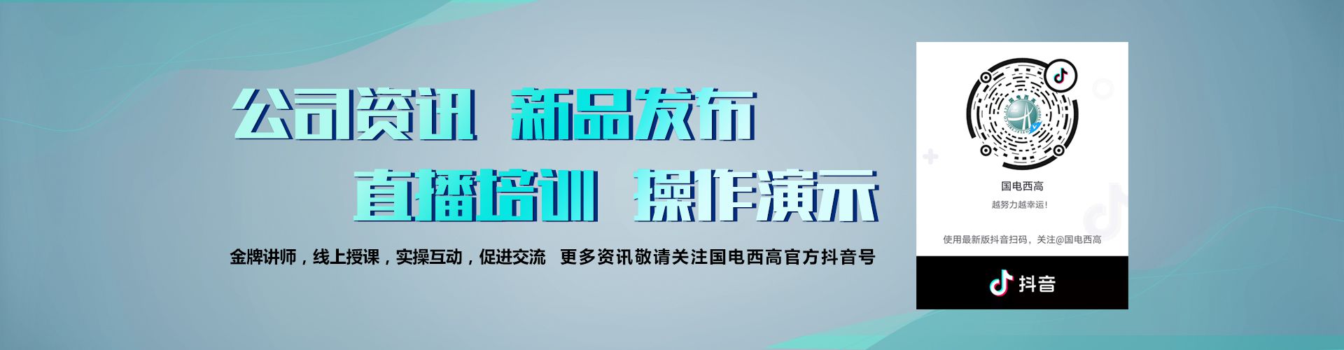 国电西高