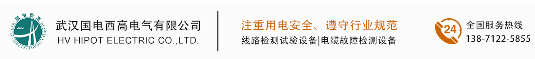 武汉国电西高 