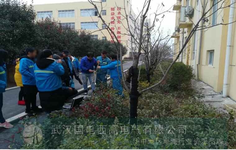 国电西高受邀为湖北照章电力提供调试服务 